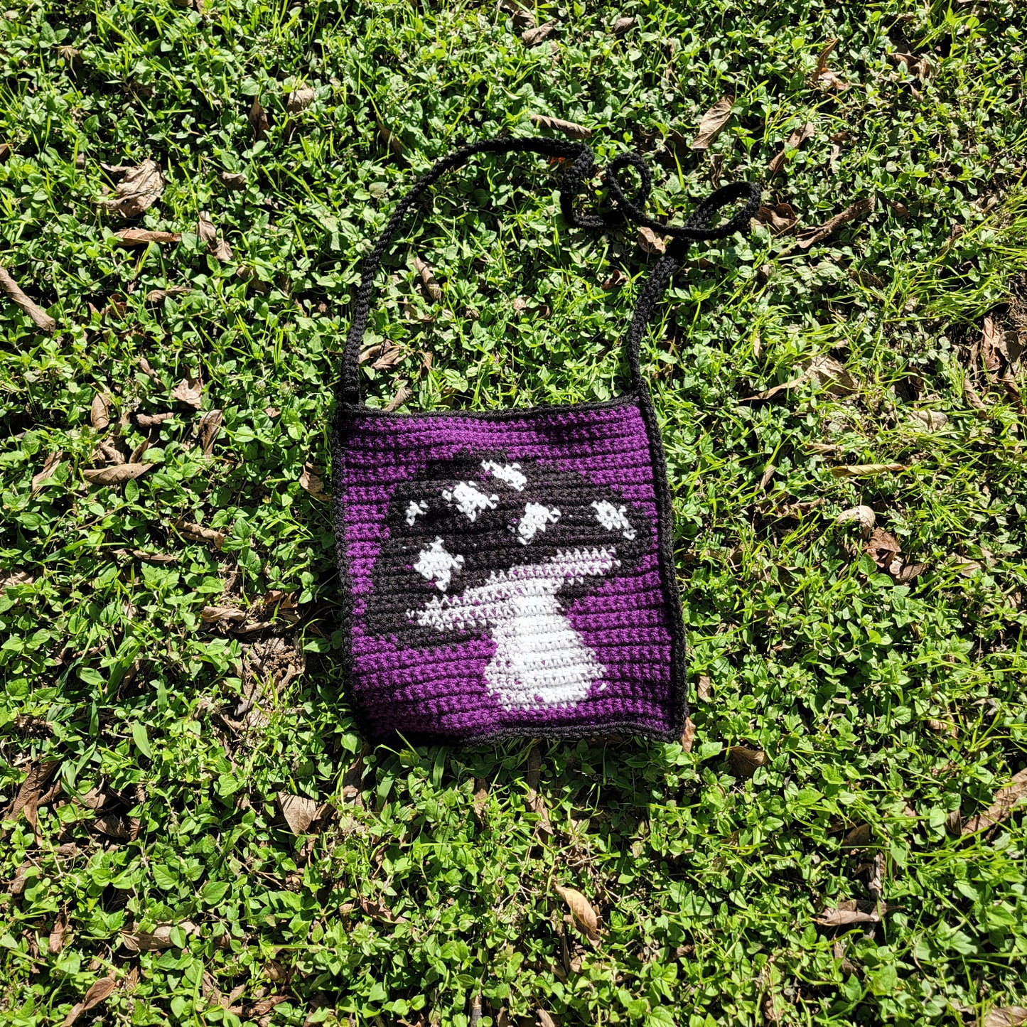 Mushroom Bag