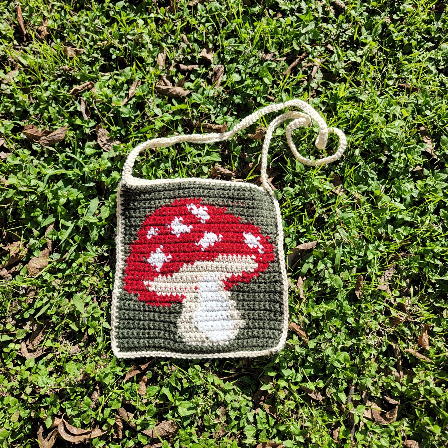 Mushroom Bag