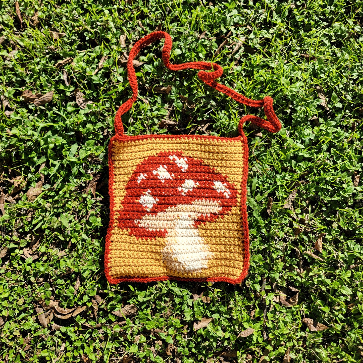 Mushroom Bag