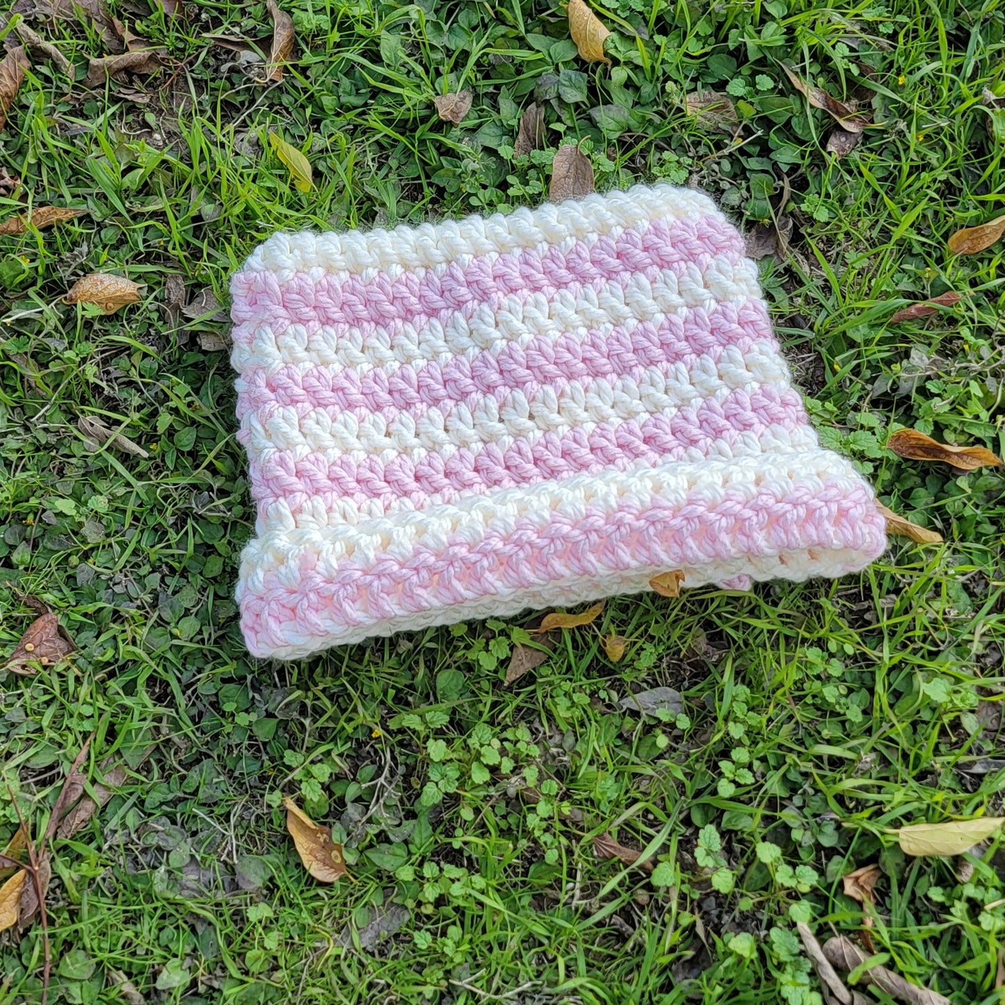 Cat Beanies