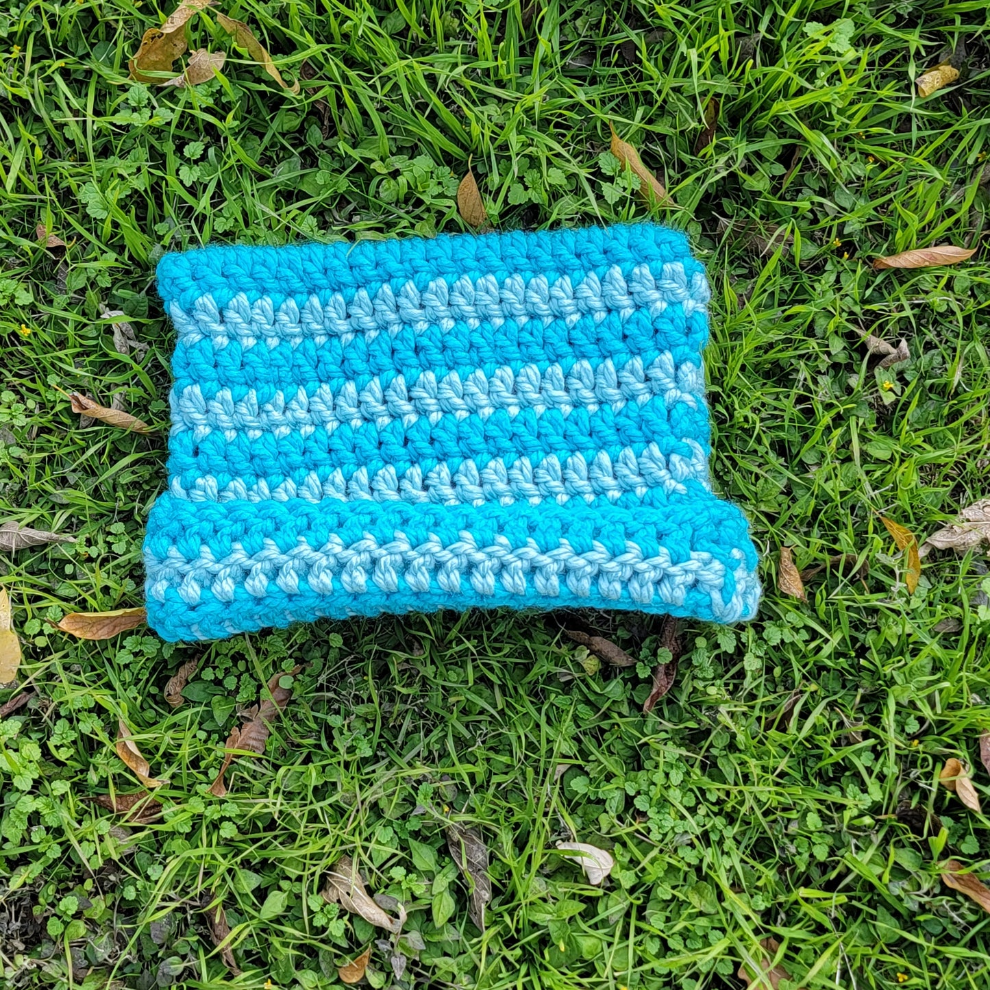 Cat Beanies