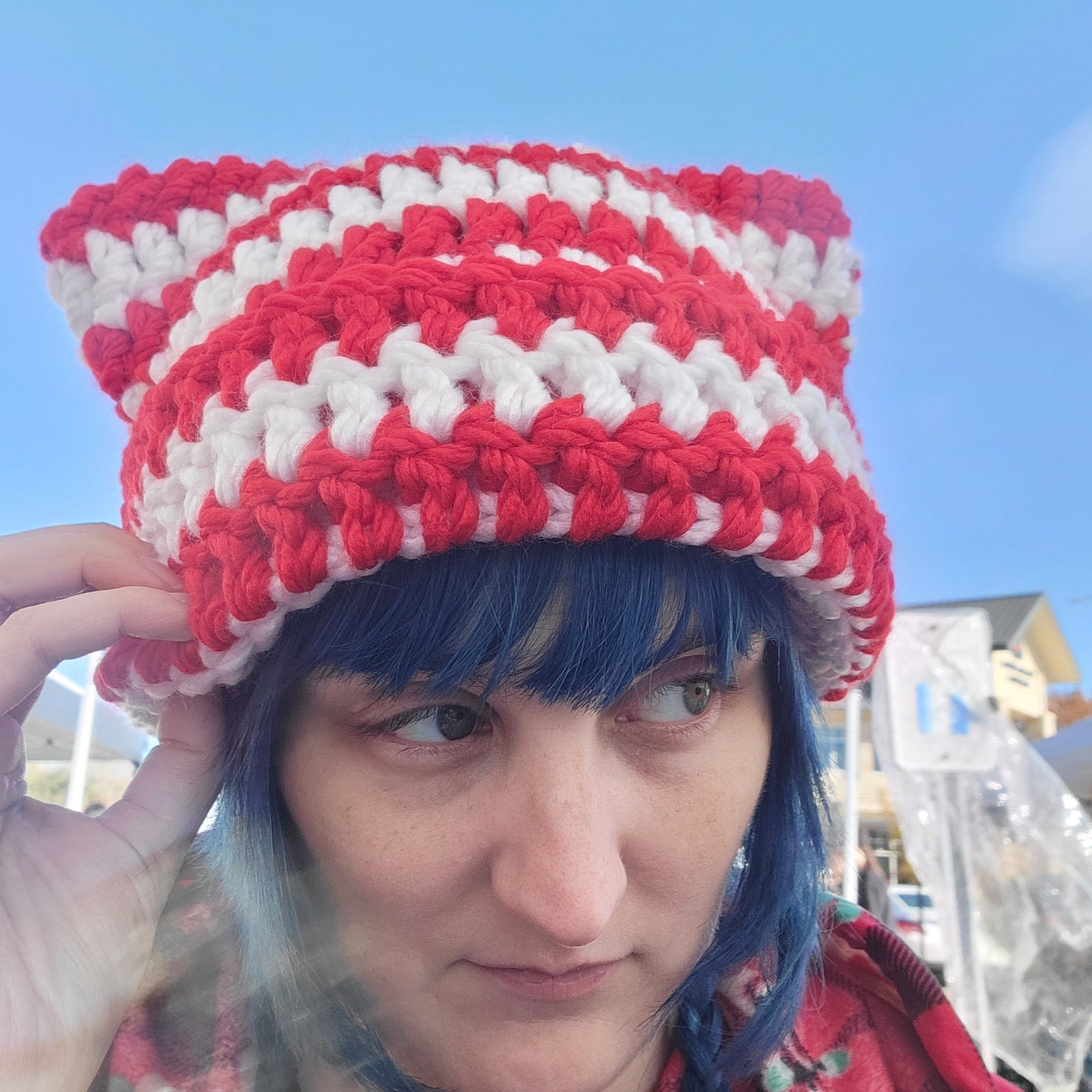 Cat Beanies