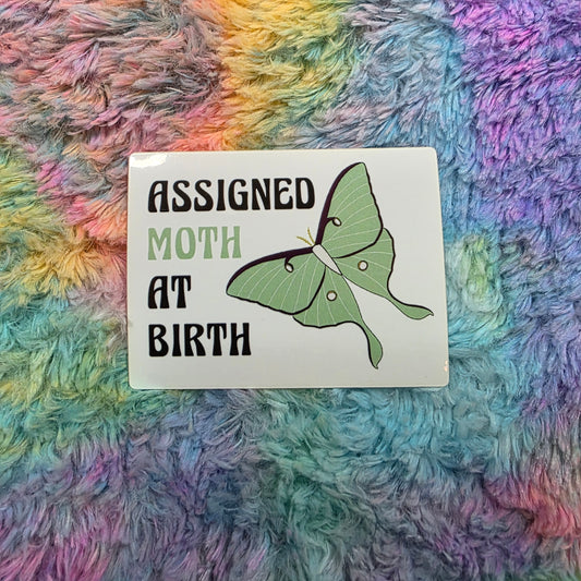 Assigned Moth at Birth Sticker